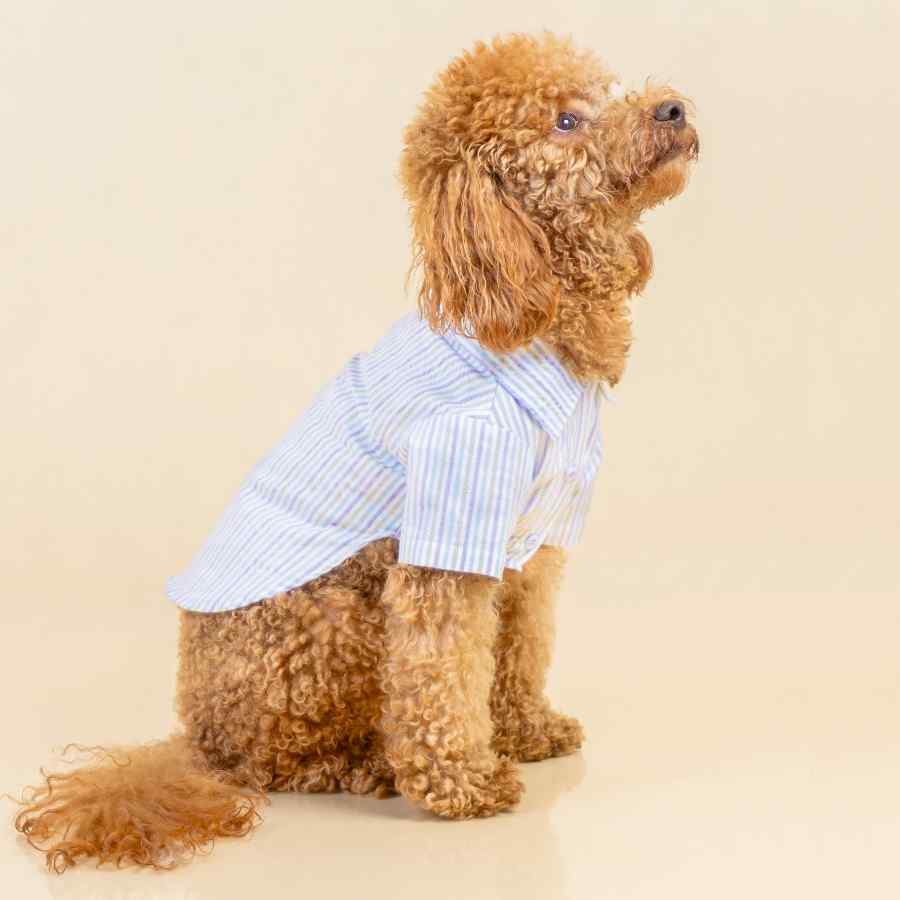 Lmb Camisa Cotton Rayas Vac, , large image number null